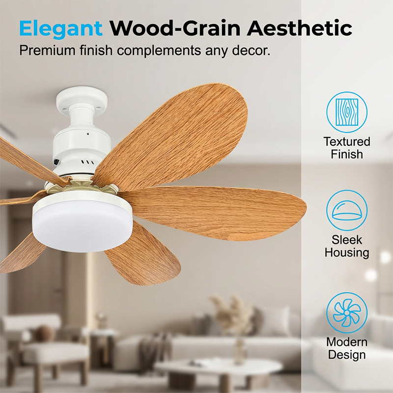 ⏳Zeitlich begrenztes Sonderangebot⏰ 2-in-1 Smart-Deckenventilator mit Beleuchtung