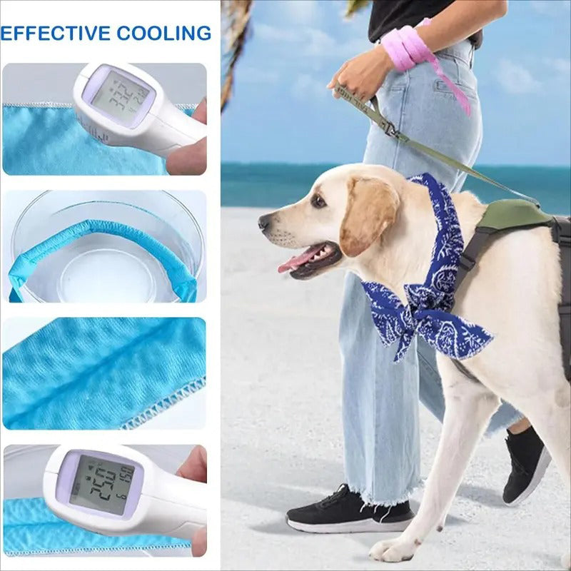 ❄️ Kühlender Sommer-Schal für Hunde & Katzen – niedliches Cartoo❄️n-Design, als Geburtstags-Accessoire & praktische Kühlhilfe an heißen Tagen 🐾❄️