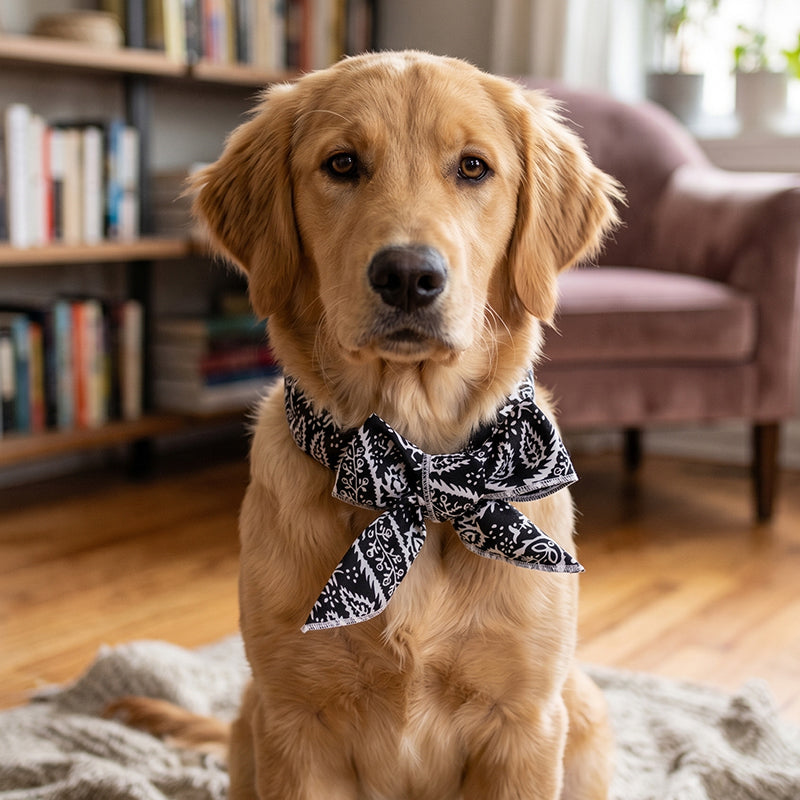 ❄️ Kühlender Sommer-Schal für Hunde & Katzen – niedliches Cartoo❄️n-Design, als Geburtstags-Accessoire & praktische Kühlhilfe an heißen Tagen 🐾❄️
