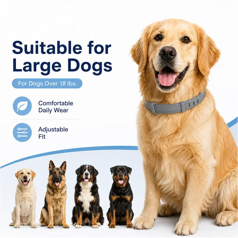 🥳HEISSER SALE 2026🥳💞50.000+ VERKAUFT!  Verstellbare Floh- und Zeckenhalsbänder für Hunde und Katzen
