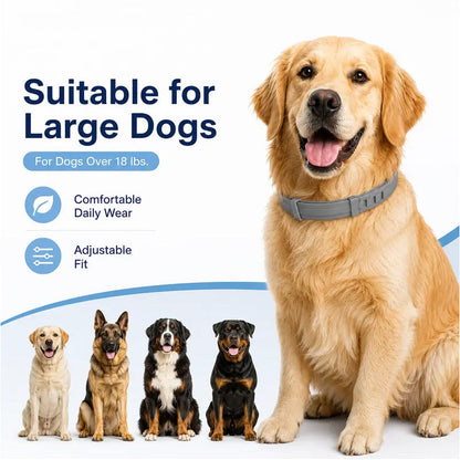 🥳HEISSER SALE 2026🥳💞50.000+ VERKAUFT!  Verstellbare Floh- und Zeckenhalsbänder für Hunde und Katzen
