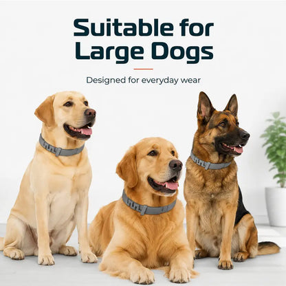 🥳HEISSER SALE 2026🥳💞50.000+ VERKAUFT!  Verstellbare Floh- und Zeckenhalsbänder für Hunde und Katzen