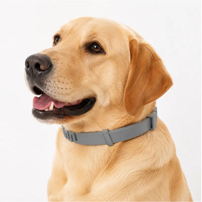 🥳HEISSER SALE 2026🥳💞50.000+ VERKAUFT!  Verstellbare Floh- und Zeckenhalsbänder für Hunde und Katzen