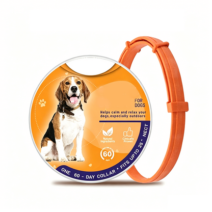 🥳HEISSER SALE 2026🥳💞50.000+ VERKAUFT!👵  Verstellbares Mückenschutzhalsband für Haustiere – langanhaltender Schutz vor Mücken und Insekten, sicher für Spaziergänge, Camping und Outdoor-Aktivitäten 🐕🐈🦟