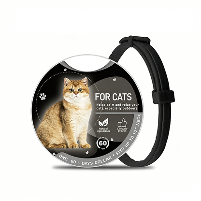 🥳HEISSER SALE 2026🥳💞50.000+ VERKAUFT!👵  Verstellbares Mückenschutzhalsband für Haustiere – langanhaltender Schutz vor Mücken und Insekten, sicher für Spaziergänge, Camping und Outdoor-Aktivitäten 🐕🐈🦟