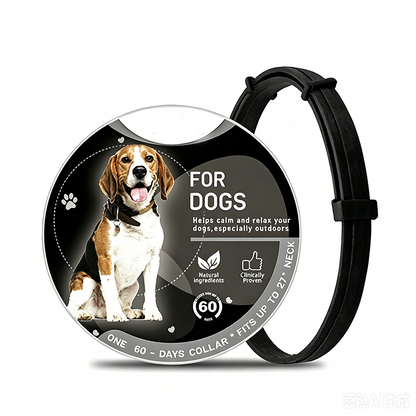 🥳HEISSER SALE 2026🥳💞50.000+ VERKAUFT!👵  Verstellbares Mückenschutzhalsband für Haustiere – langanhaltender Schutz vor Mücken und Insekten, sicher für Spaziergänge, Camping und Outdoor-Aktivitäten 🐕🐈🦟