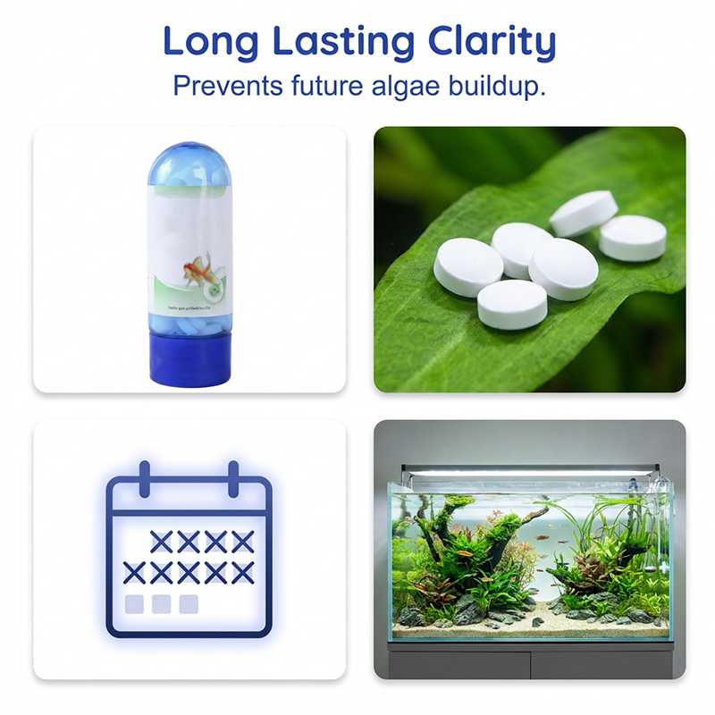 🥳HEISSER SALE 2026🥳💞50.000+ VERKAUFT!👵❤️  Tabletten zur Algenentfernung im Aquarium