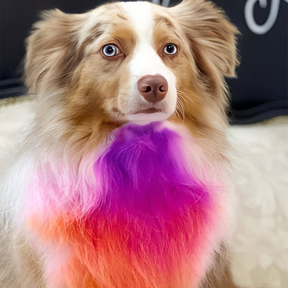 🥳HEISSER SALE 2026🥳💞50.000+ VERKAUFT!👵❤️  Ungiftige Haarfarbe für Haustiere