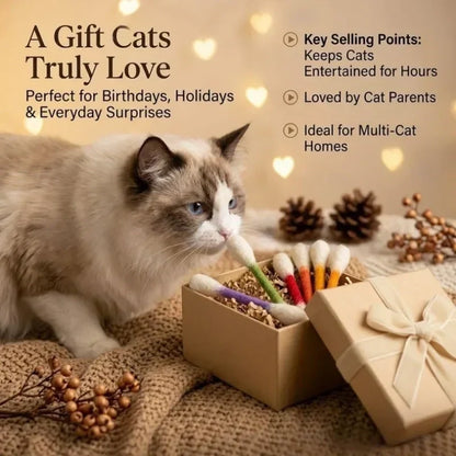 🥳HEISSER SALE 2026🥳💞50.000+ VERKAUFT!❤️🐱 Interaktives Wattestäbchen-Katzenspielzeug mit Katzenminze