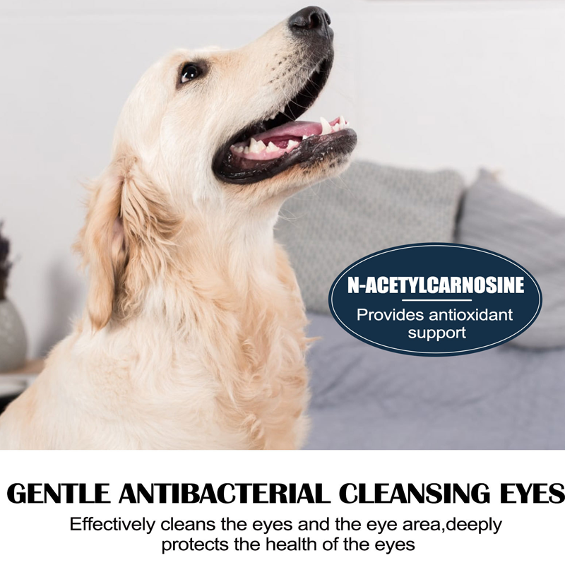 🥳HEISSER SALE 2026🥳💞50.000+ VERKAUFT!❤️Wir sind spezialisiert auf die Augenheilkunde von Haustieren und behandeln Katarakte an der Wurzel! Sanfte Augentropfen für Haustiere, geeignet für Hunde und Katzen.