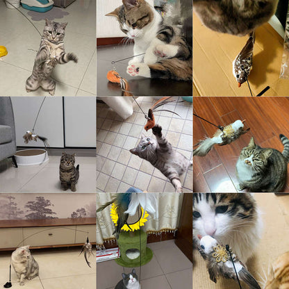 🥳HEISSER SALE 2026🥳💞50.000+ VERKAUFT!👵❤️  Interaktives Katzenspielzeugset mit Vogelsimulation