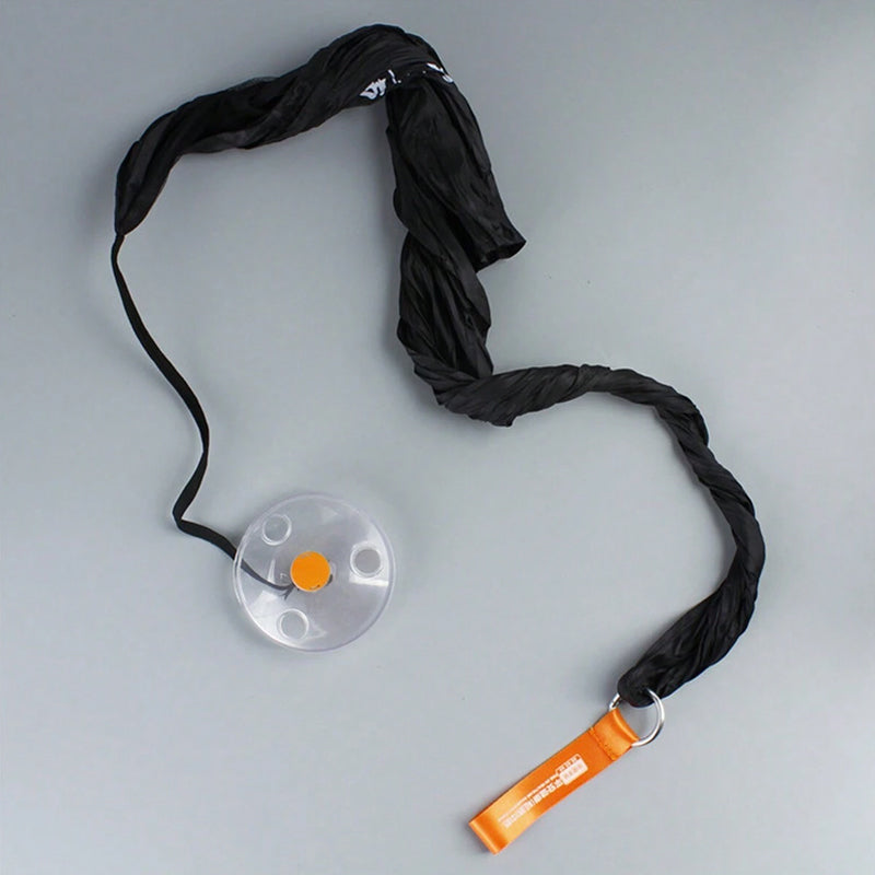 Tragbare Disc-Tasche
