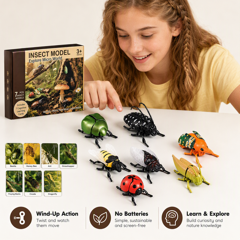 Aufziehbares Insekten-Simulationsspielzeug-Set mit Lernkarten