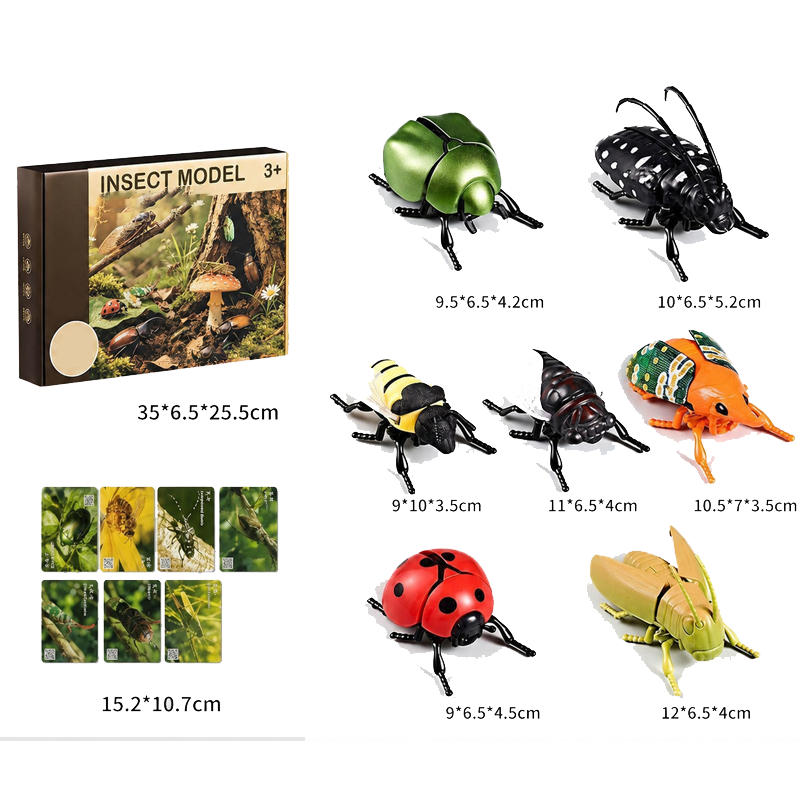 Aufziehbares Insekten-Simulationsspielzeug-Set mit Lernkarten