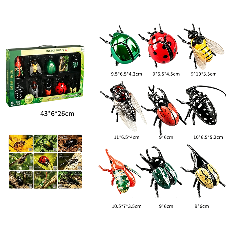 Aufziehbares Insekten-Simulationsspielzeug-Set mit Lernkarten