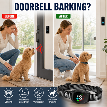 Intelligentes Antibellhalsband für Hunde