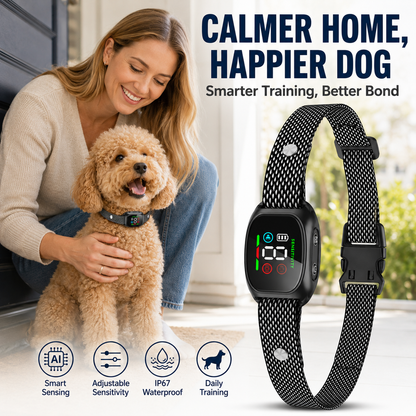 Intelligentes Antibellhalsband für Hunde