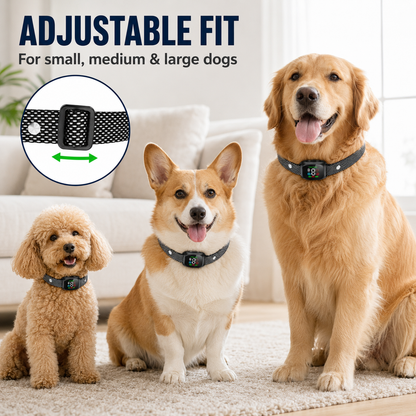 Intelligentes Antibellhalsband für Hunde