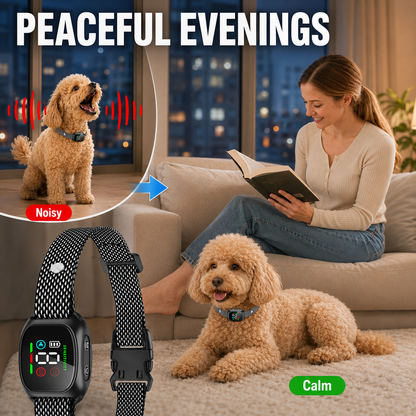 Intelligentes Antibellhalsband für Hunde