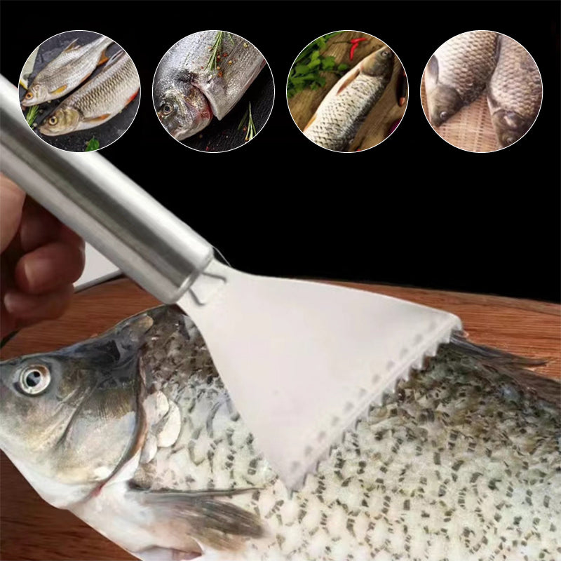 Fischschuppen-Entferner aus Edelstahl