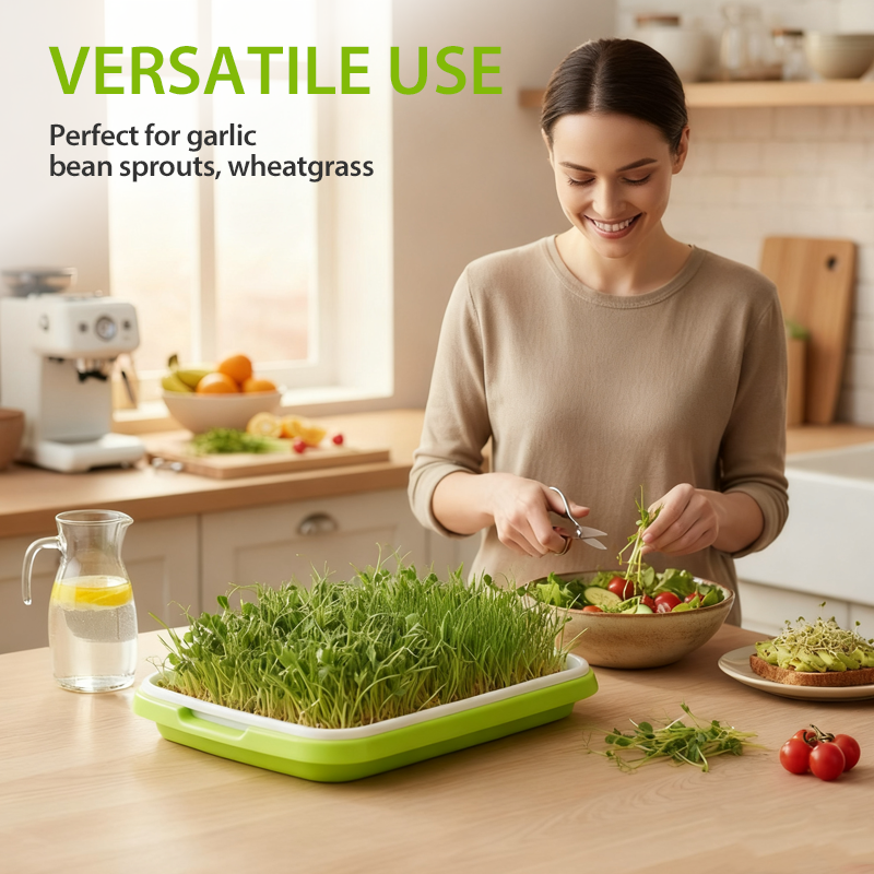 Robuste Keimschale