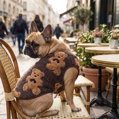 🐶 Warme Winterjacke für Hunde – gefüttert & haarfrei, kuschelig & schützend für kalte Herbst- & Wintertage