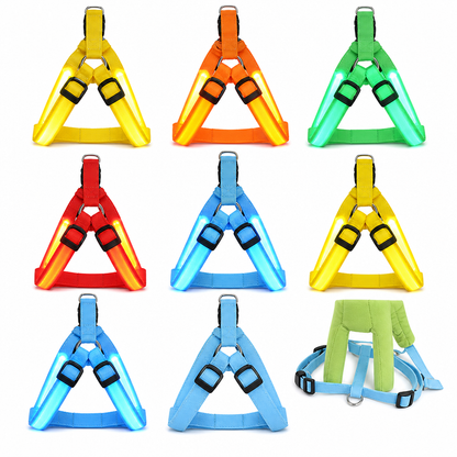 LED-Hundeharness mit Leuchtfunktion für Spaziergänge bei Nacht